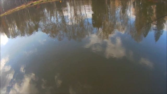 Поимки форели на верхнем и нижнем. Клёвое место, Лосиный остров смотреть онлайн