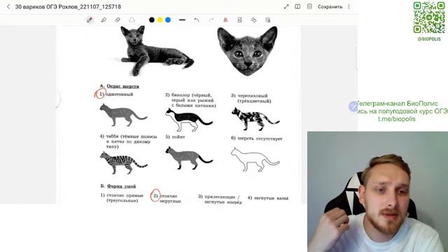 Разбор варианта 8 Рохлов 2023 ОГЭ Рохлов 2023 смотреть онлайн