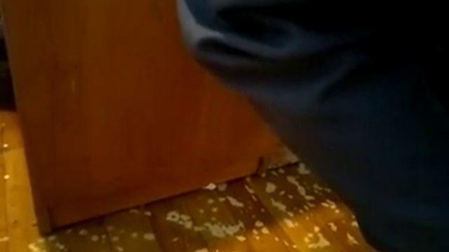 Как таможня Караганды охраняет границу смотреть онлайн