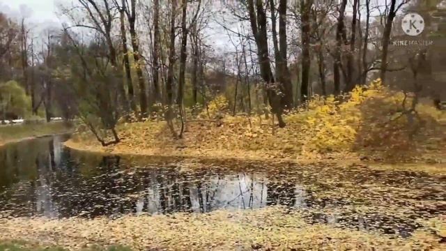 Сюжет о памятнике Раймонде Дьен смотреть онлайн