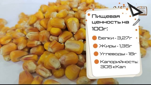 Зерно кукурузы. Обзор смотреть онлайн