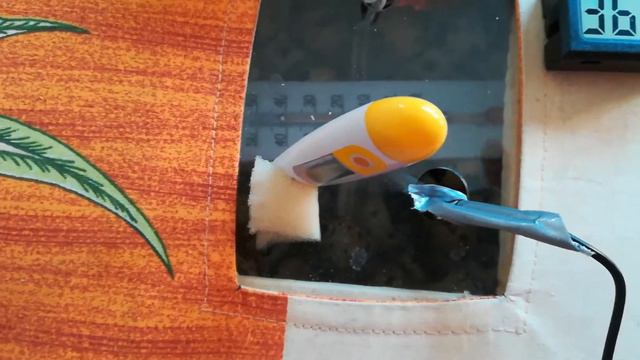 12й день инкубации перепелиных яиц смотреть онлайн