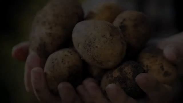 Где Купить Семенной Картофель смотреть онлайн