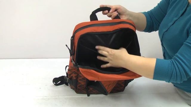 Обзор рюкзака для ноутбука Victorinox Travel VX TOURING/Gold Flame Vt604837 смотреть онлайн