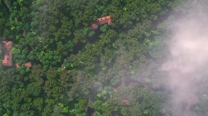 Nigel was  such a mean bird | Rio(2011) | Geekwix Family