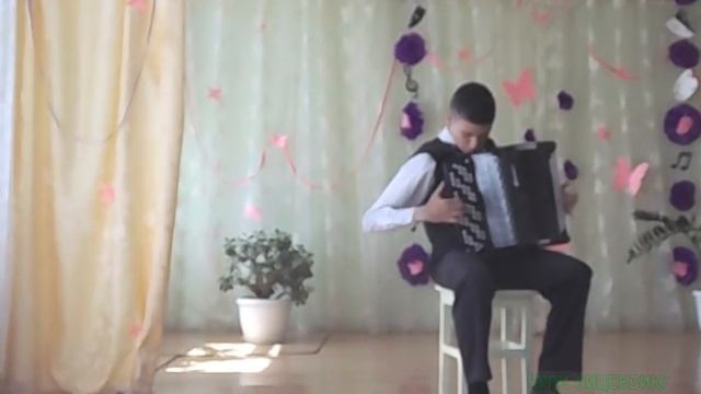 Тико-Тико на баяне! смотреть онлайн