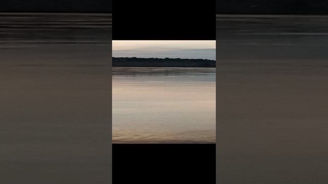 VID_20240702_214808.mp4