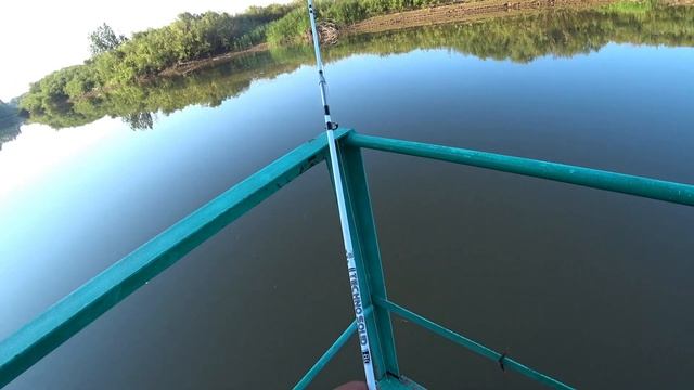 На крючке: рыболовные приключения