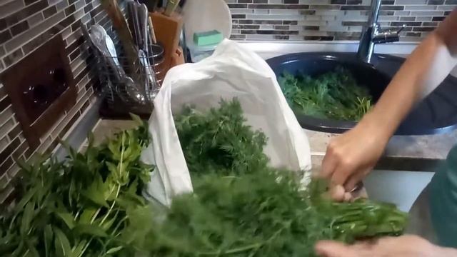 ЗАГОТОВКИ на зиму / Зеленый горошек и свежая зелень смотреть онлайн