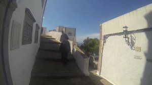 Греческая смоковница возвращается.