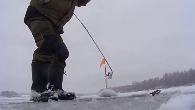 Р.Якоть щука 3,1 кг смотреть онлайн