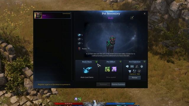 Lost Ark - How To Rename Pet смотреть онлайн