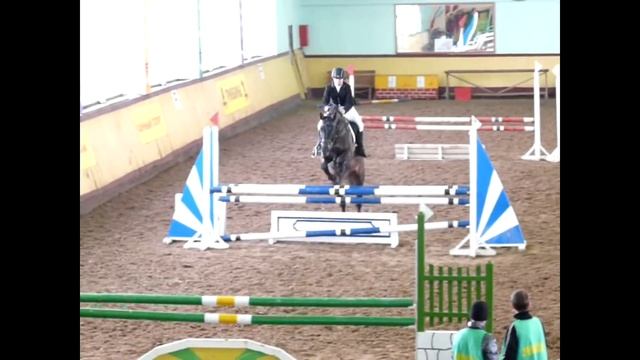 Крыса - это маленькая лошадка