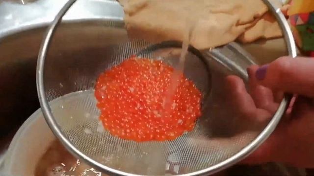 KAK ЗАСОЛИТЬ КРАСНУЮ ИКРУ? смотреть онлайн
