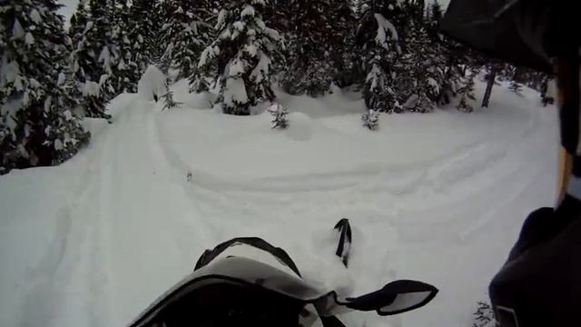 Ski-Doo 2014 Expedition Sport 600 ace смотреть онлайн