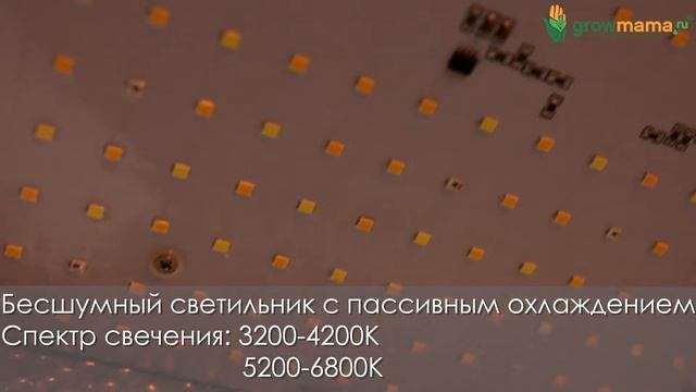 Светильник LED для растений Mars Hydro TS 600 (100W) смотреть онлайн