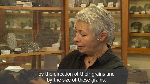 Planet University. Petrographic Museum.