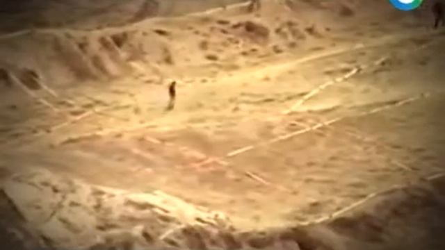 Арарат / Ноев ковчег