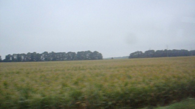 Без названия смотреть онлайн