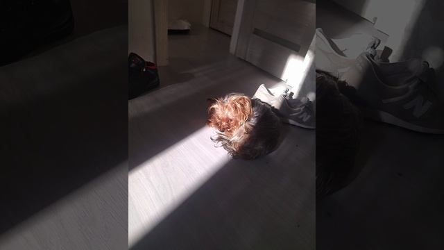 я на солнышке лежу.mp4