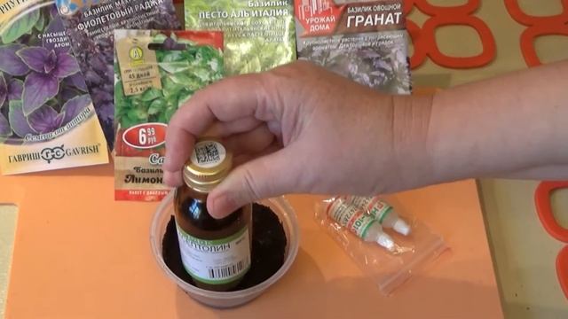 Как правильно посеять базилик Новые сорта Обзор Продолжение