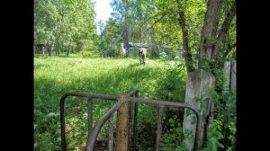 Колмогорово, заброшенные пионерские лагеря. Яшкинский район, Кем. область(была там в 2016 году)