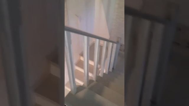 Лестница на бетонном основании смотреть онлайн