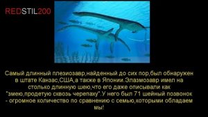 История вымерших животных (плезиозавры)