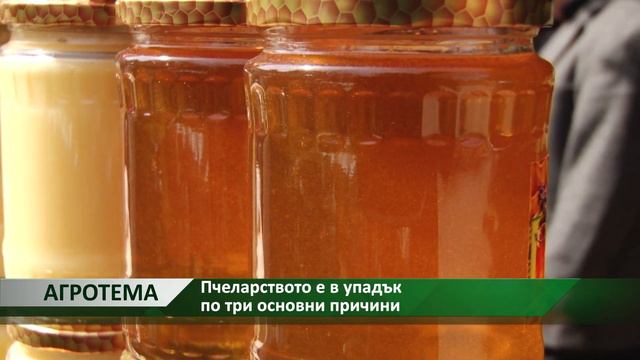 Агротема - ВИДЕО: Пчеларството е в упадък по три основни причини, автор: Камелия Карадочева