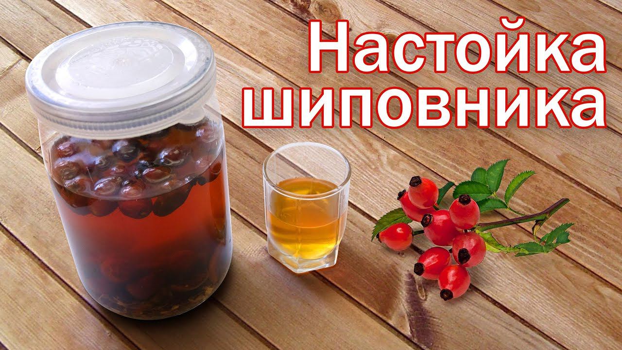 Настойка из шиповника!!! настойка с коньячным вкусом от канала Свой Среди Своих кулинария смотреть онлайн