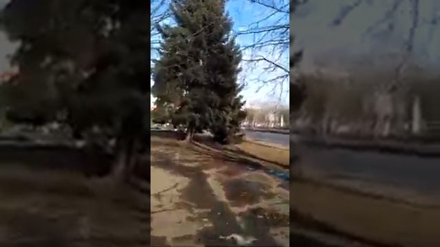 VID 20220207 150132.mp4 смотреть онлайн