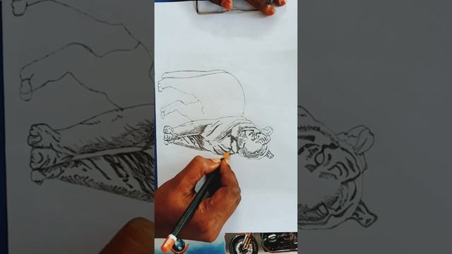how to draw tiger? #realistic#pencilsketch#wildanimals #tigerwoods#artoftheday#passion#relaxingmusi смотреть онлайн