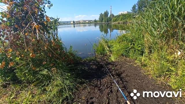 РЫБАЛКА, ЛОВЛЯ ЛЕЩА В +30 В АВГУСТЕ. смотреть онлайн