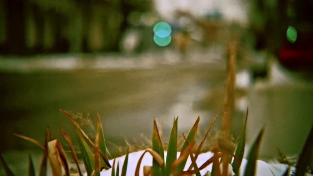 Sigma fp+Rubin-1, 37-80mm/2.8, Film Look. Зимний Краснодар 2023 смотреть онлайн