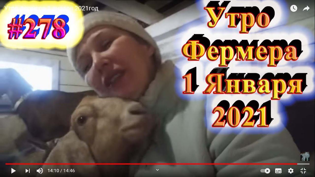 Утро фермера 1 января 2021год