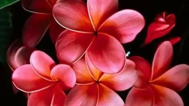 Raag Durga For Anahata Mp4