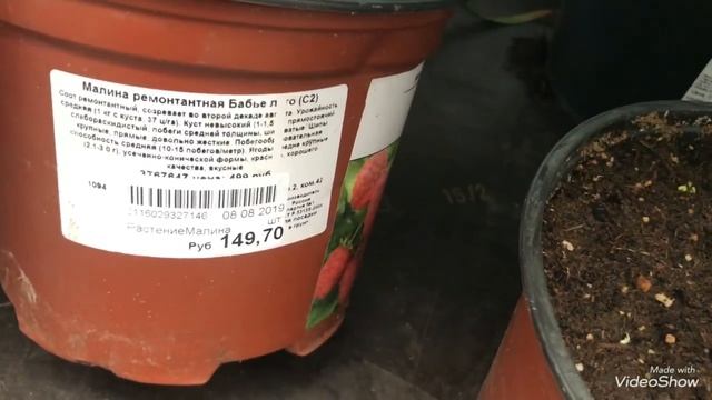 Уценённые Орхидеи и другие Цветы. смотреть онлайн