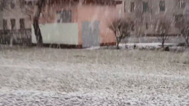 Бобруйск 22.11.17 смотреть онлайн