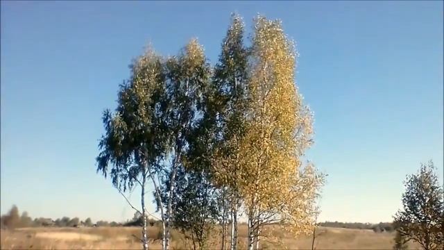 Пусть душа останется чиста ...Видео о тебе, Ильино. смотреть онлайн