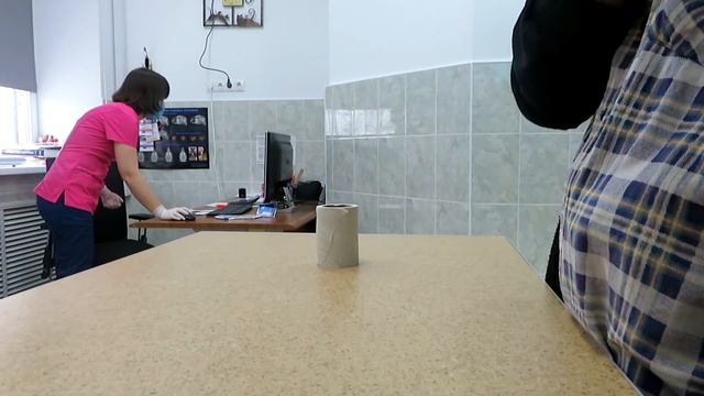 Обследование сразу трех крыс в вет. клинике "Ласка". ? Полный приём, и цена вопроса. ?(Fancy Rats)? смотреть онлайн