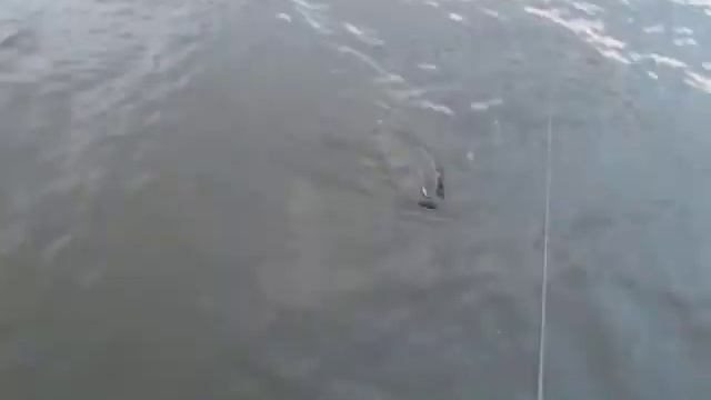 Spinmania.by Июль 2013г. вдхрн.Неман смотреть онлайн