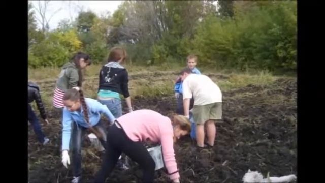 видеоролик Правила здорового питания смотреть онлайн