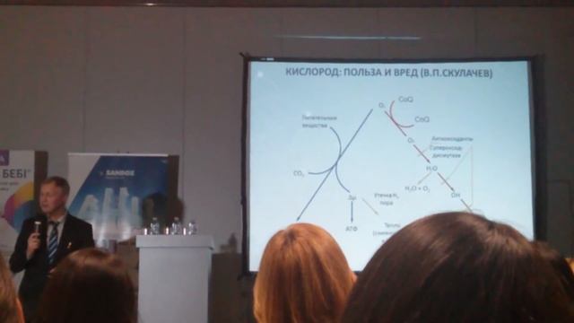 Заболевания дыхательных путей