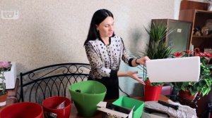 Кашпо с автополивом? для комнатных растений ?