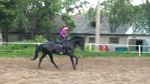 Бриз. Рабочие моменты. 02.06.2013 смотреть онлайн