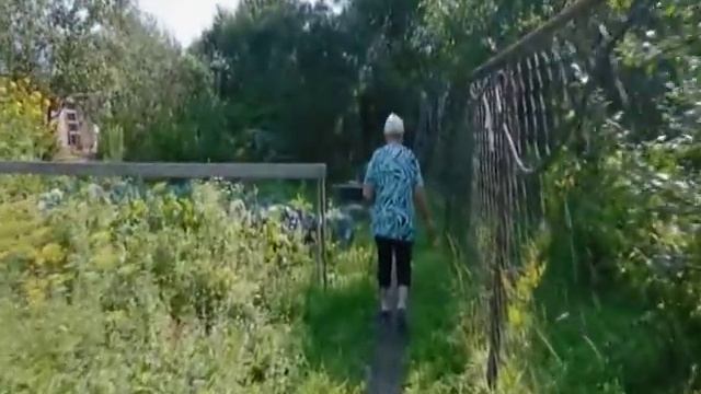 Чупакабра в Верее миф или реальность смотреть онлайн