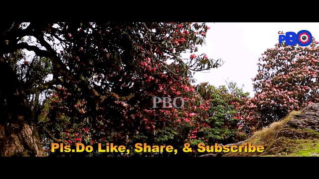गुराँस हरुको राजधानी || CAPITAL OF RHODODENDRON || Tinjure Vlog смотреть онлайн
