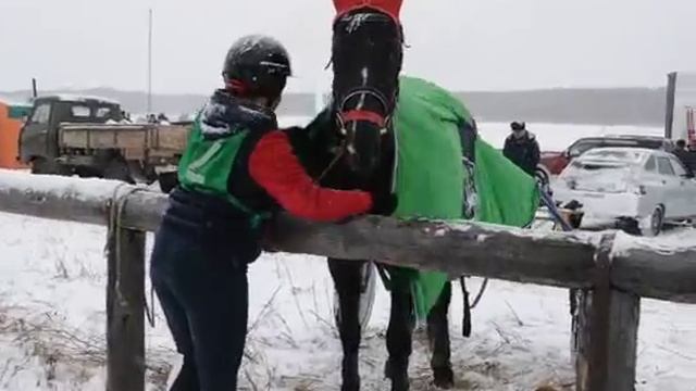 Скачки Новая Солянка.mp4 смотреть онлайн