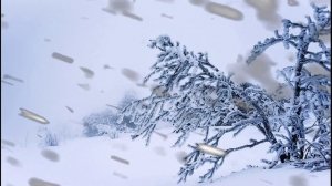 Метель и пурга. Шум ветра, звуки вьюги для расслабления и медитации