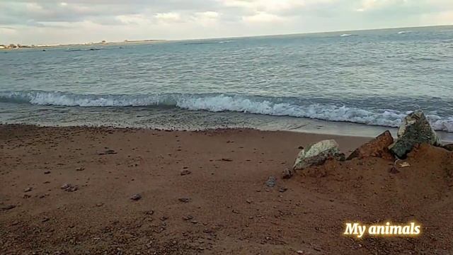 Балхаш- 2021| Зона отдыха "ВОЯЖ" смотреть онлайн